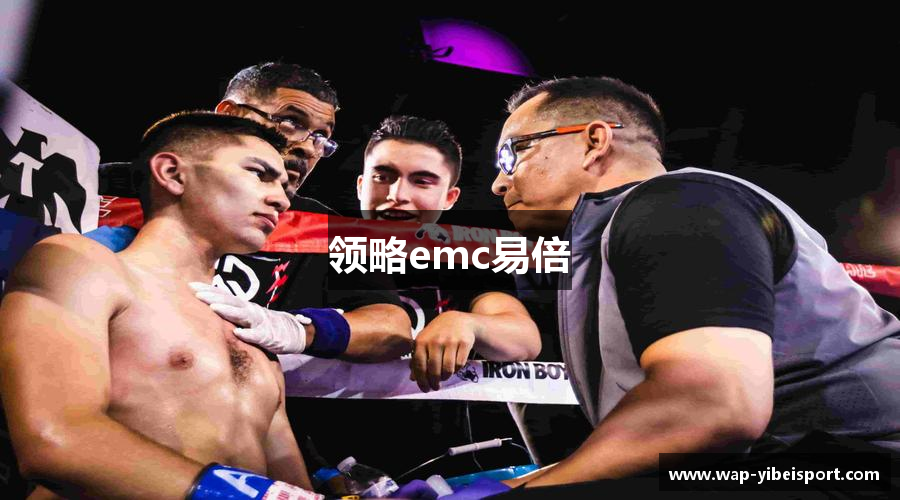 领略emc易倍